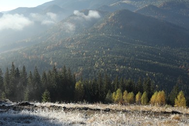 Photo of Beautiful mountain landscape in morning. Sunlit grass covered with hoarfrost