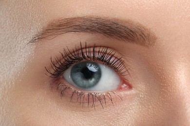 Photo of Woman with long eyelashes after mascara applying, closeup