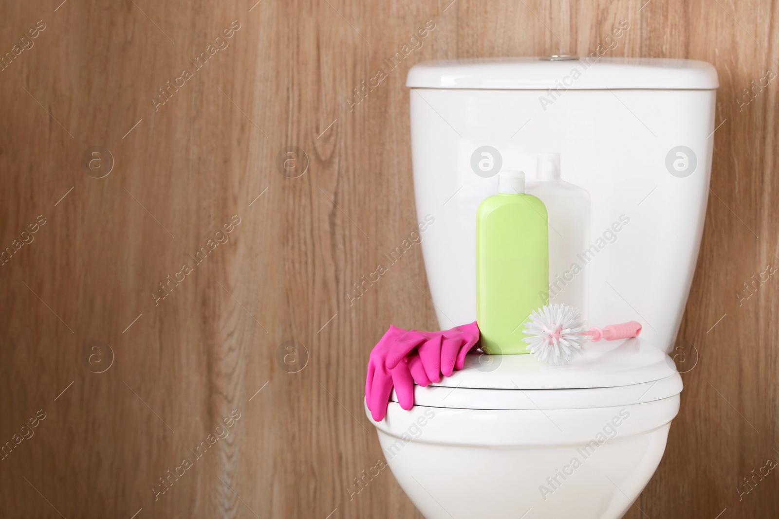 Photo of Different cleaning supplies on toilet bowl indoors, space for text