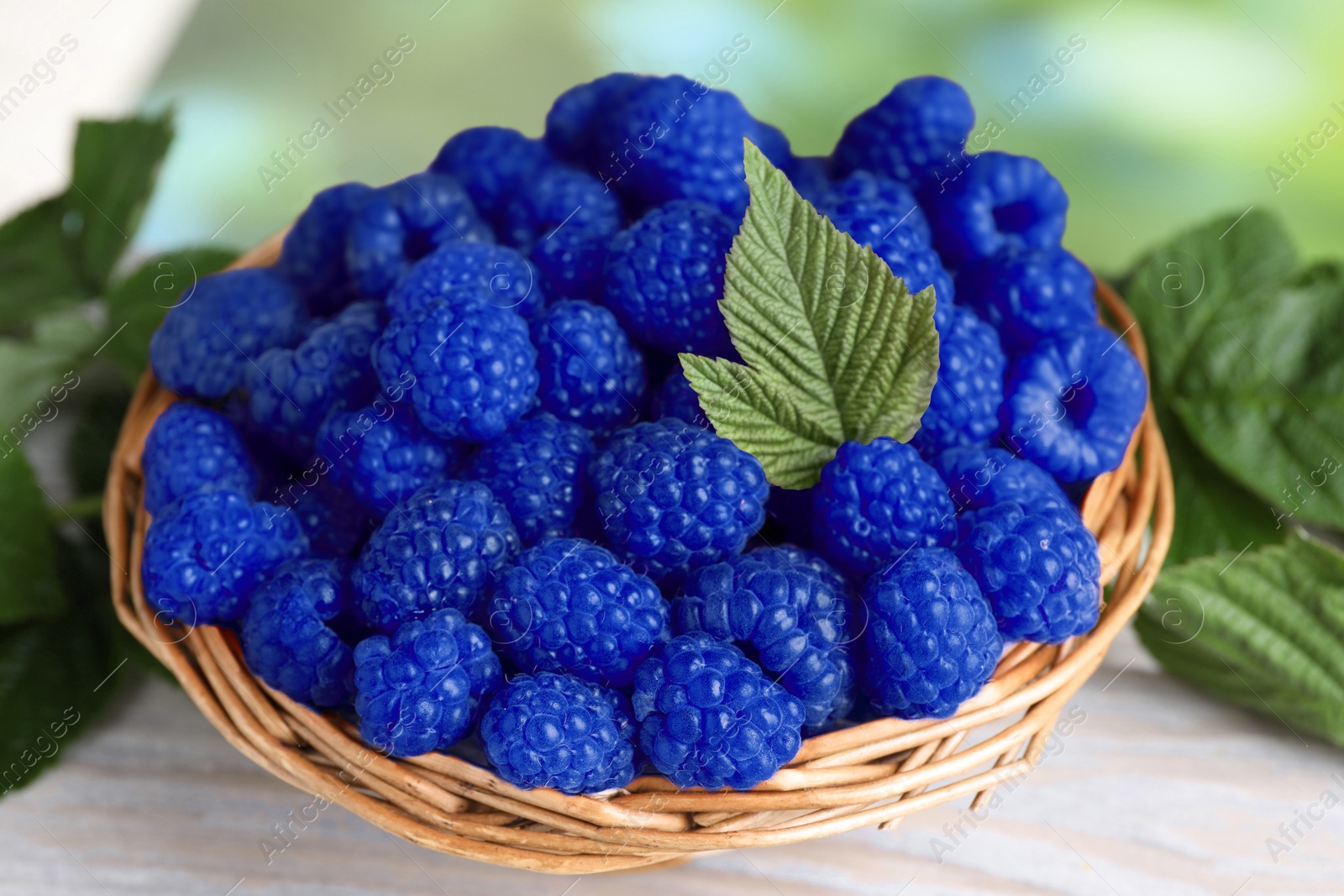 Image of Many fresh blue raspberries in wicker bowl on table, closeup