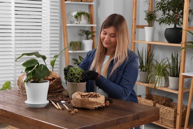 Woman transplanting houseplant at wooden table indoors