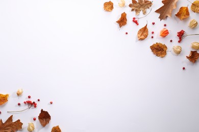 Photo of Dry autumn leaves and berries on white background, flat lay. Space for text