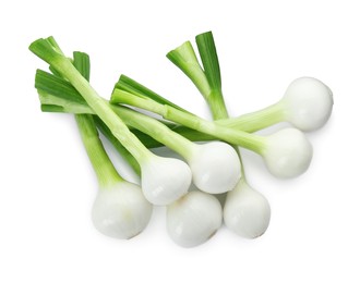 Photo of Whole green spring onions isolated on white, top view