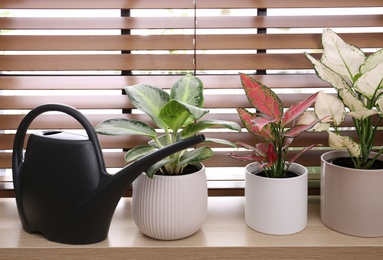 Beautiful houseplants and watering pot on wooden window sill indoors