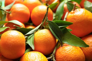 Photo of Many ripe tangerines with leaves as background, closeup