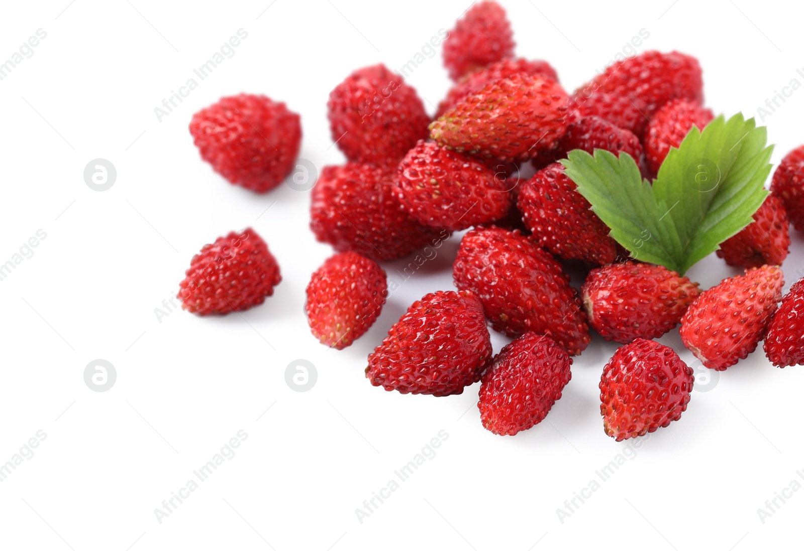 Photo of Ripe wild strawberries and green leaves isolated on white