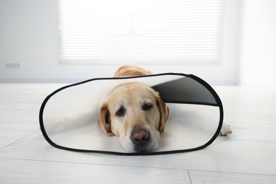 Sad Labrador Retriever with protective cone collar lying on floor indoors