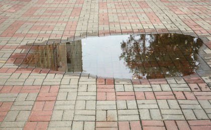 Puddle on paved pathway outdoors after rain