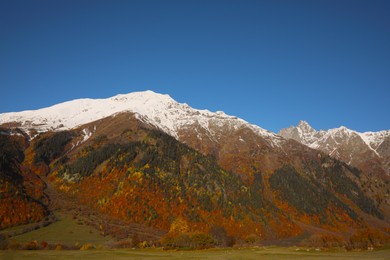 Picturesque view of beautiful high mountain under blue sky on sunny day