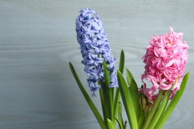 Photo of Beautiful hyacinth flowers on light grey wooden background
