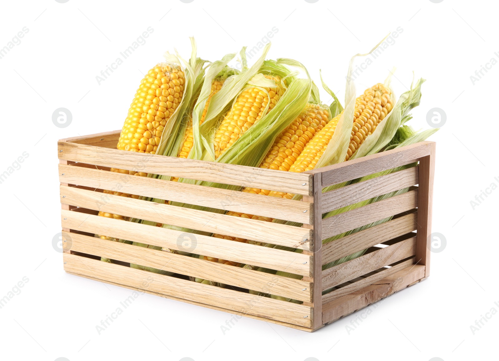 Photo of Ripe raw corn cobs in wooden crate on white background