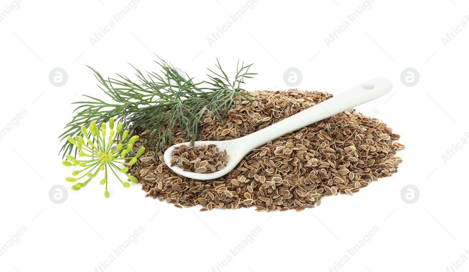 Photo of Pile of dry seeds, fresh dill and spoon isolated on white