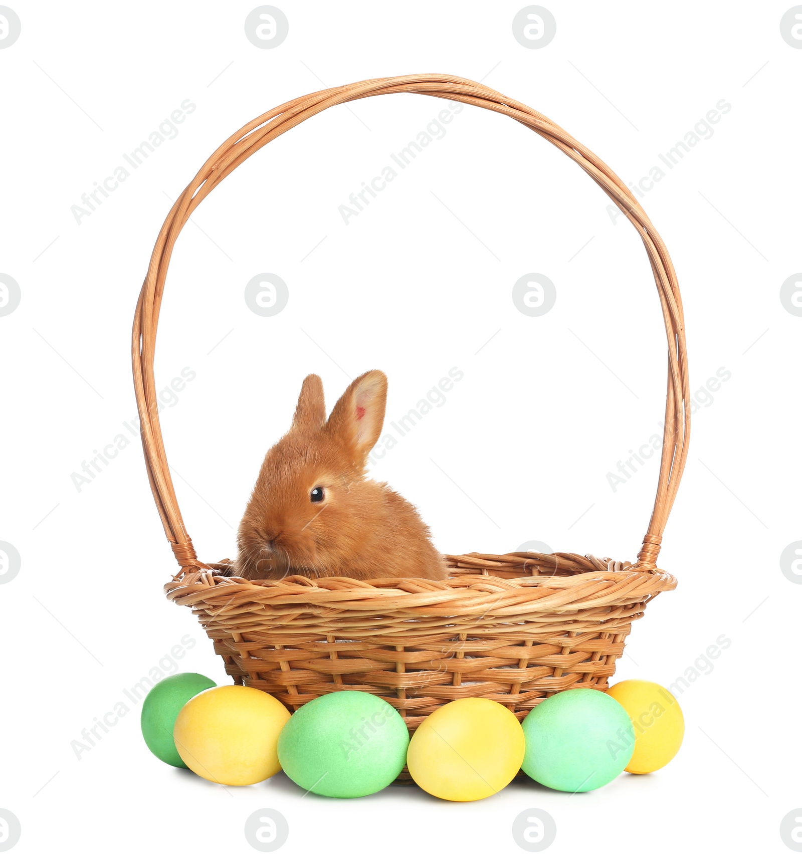 Photo of Adorable fluffy bunny in wicker basket and Easter eggs on white background