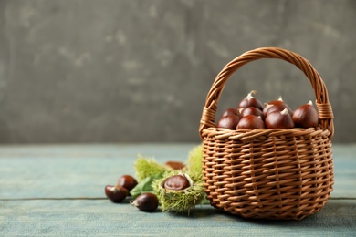 Photo of Fresh sweet edible chestnuts in wicker basket on blue wooden table. Space for text