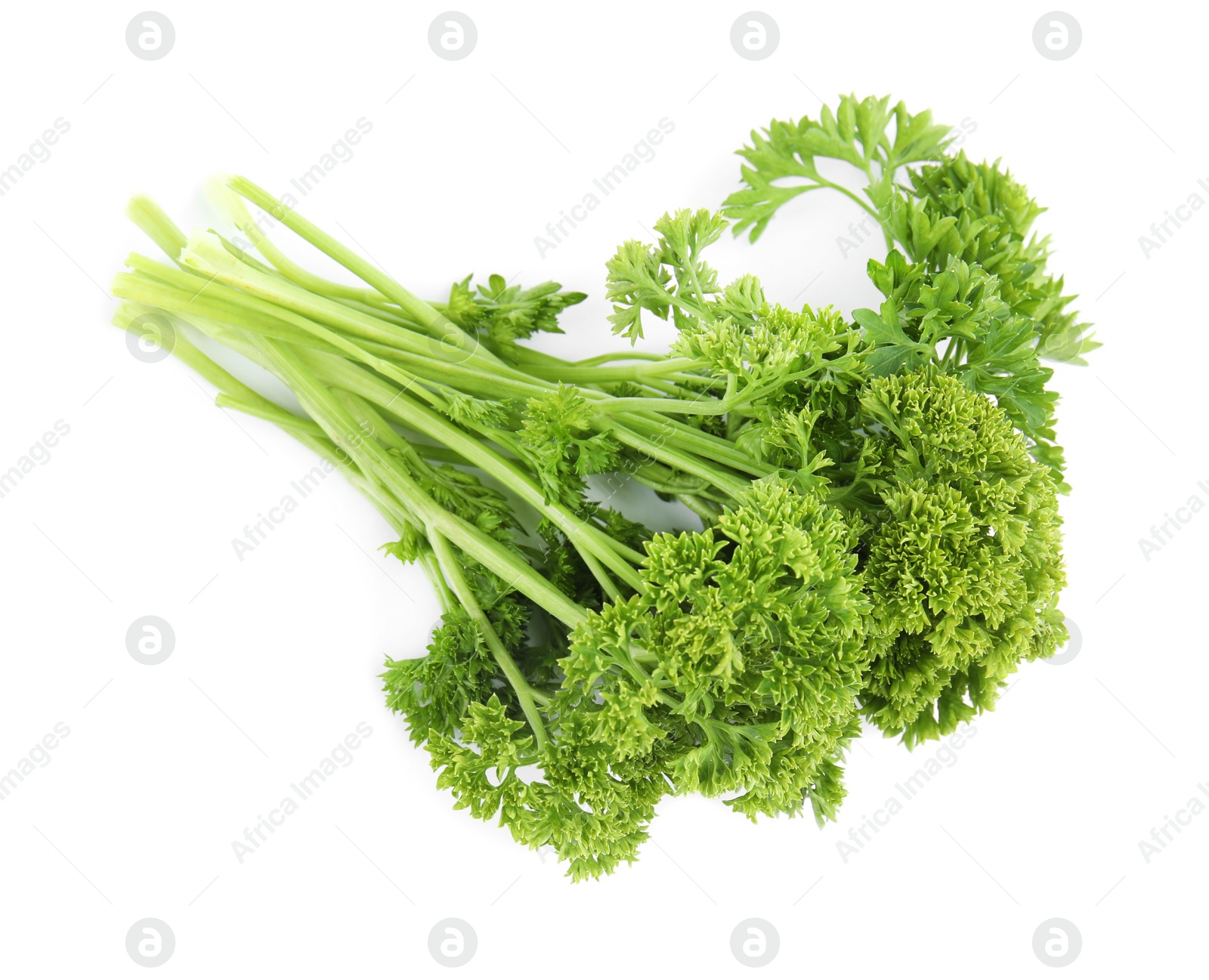 Photo of Fresh green organic parsley on white background