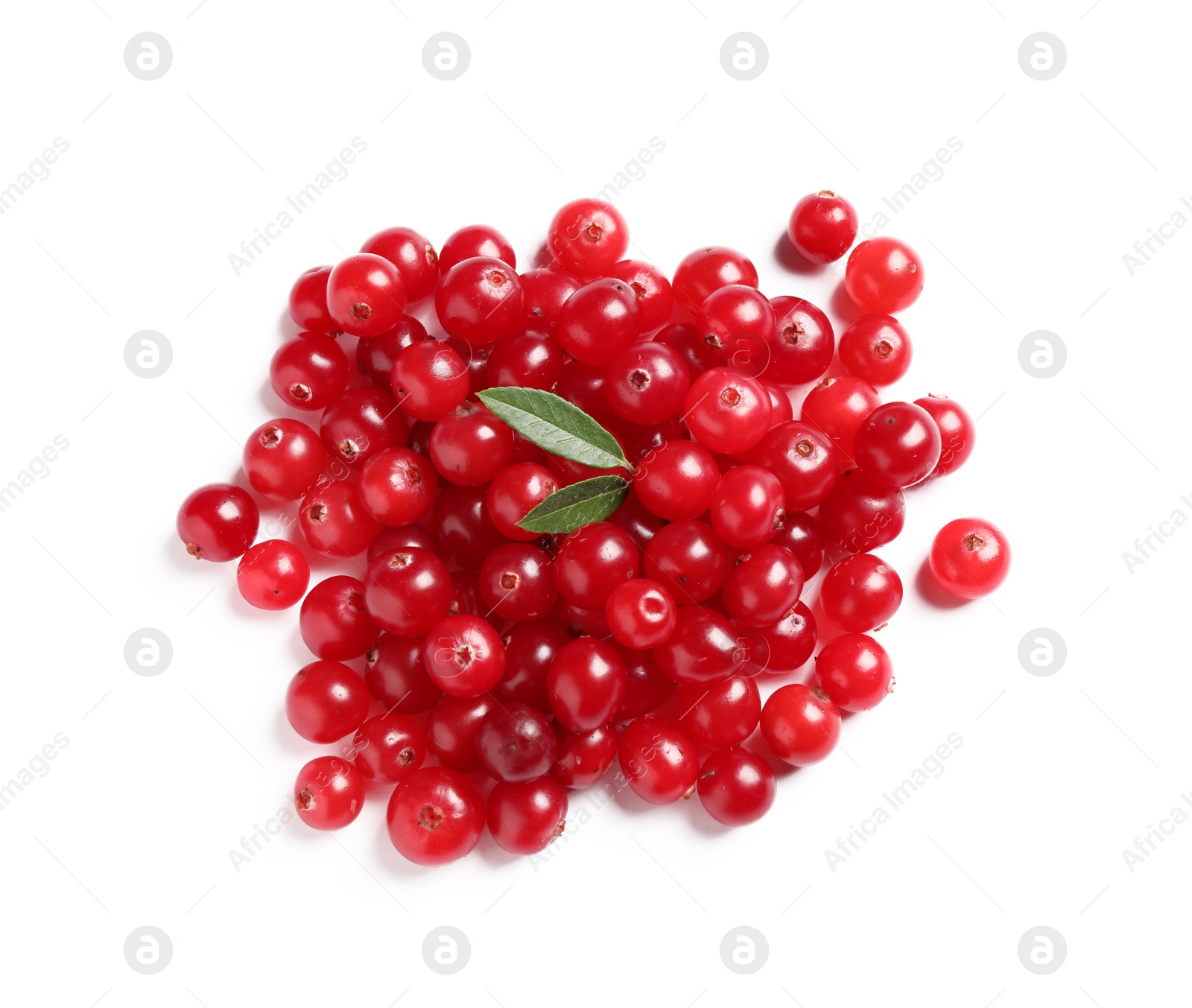 Photo of Pile of fresh ripe cranberries on white background, top view