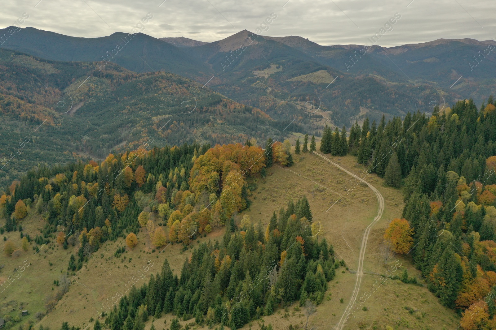 Photo of Aerial view of beautiful mountain forest with countryside road on autumn day