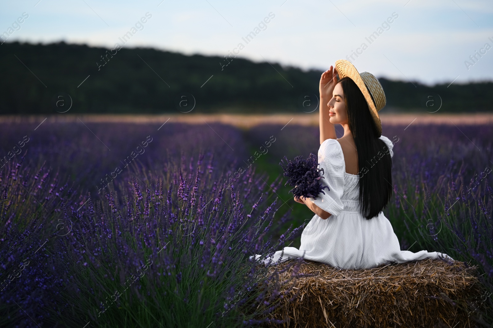 Photo of Woman sitting on hay bale in lavender field, back view