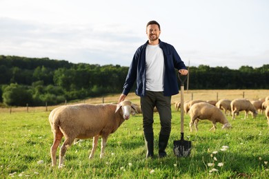 Photo of Portrait of smiling man with shovel and sheep on pasture at farm