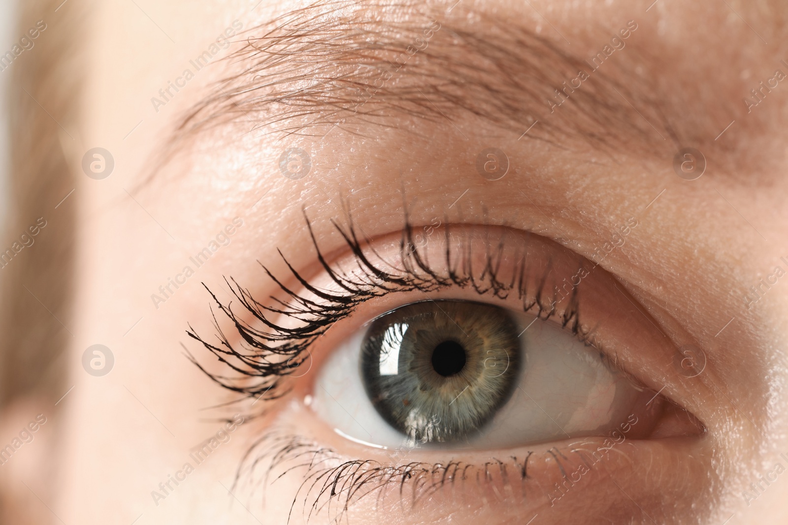 Photo of Macro photo of woman with beautiful eyes