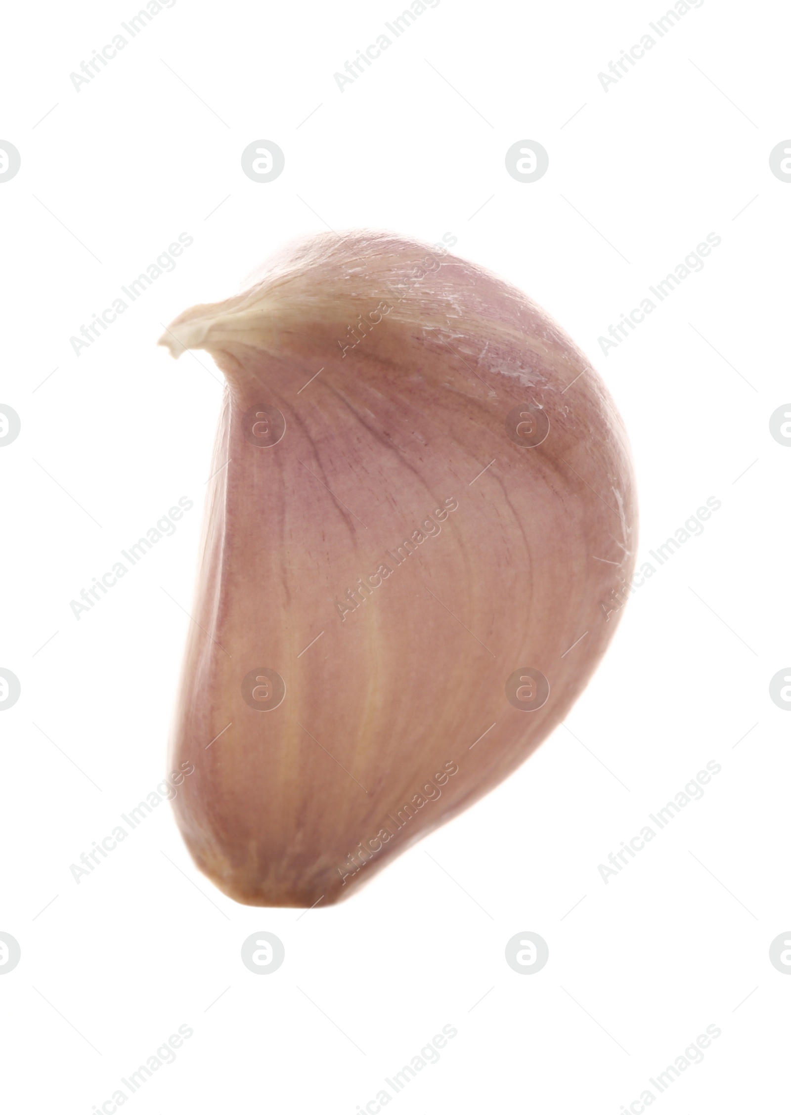 Photo of One unpeeled clove of garlic isolated on white