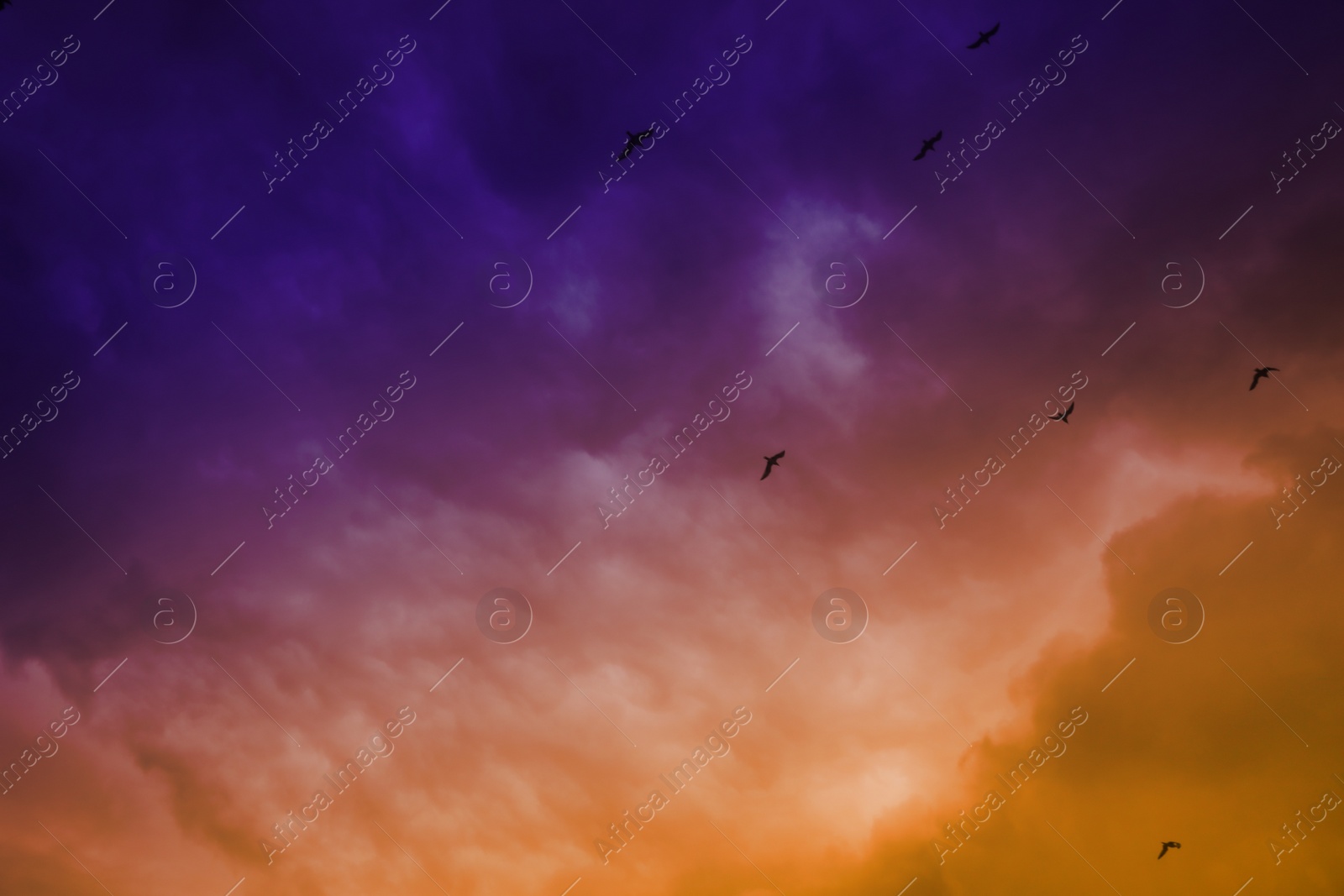 Photo of Picturesque view of birds in sky with heavy rainy clouds