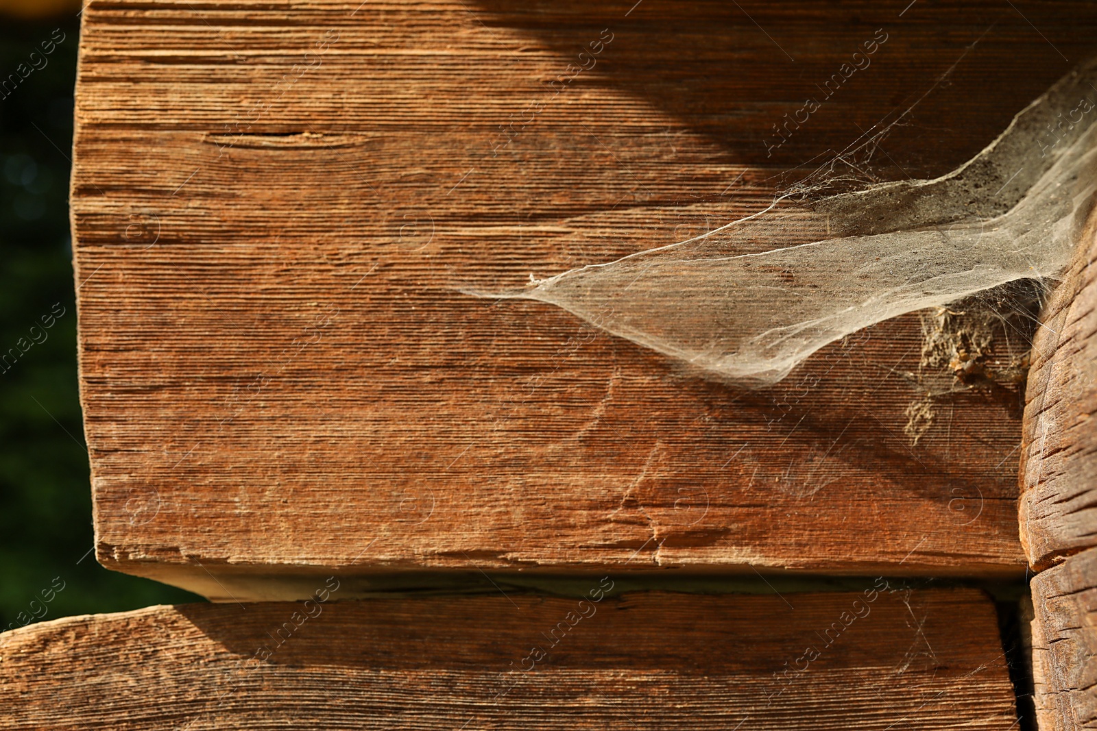 Photo of Dusty cobweb on wooden building outdoors, closeup