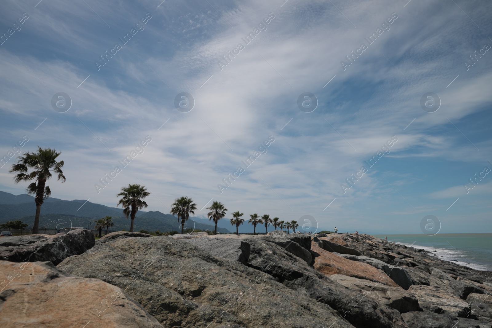 Photo of Beautiful view of rocky seacoast with palm trees on sunny day