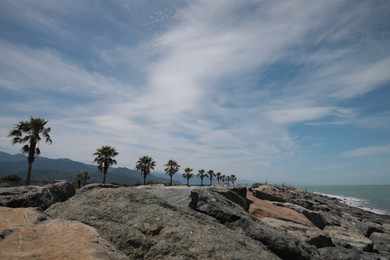 Beautiful view of rocky seacoast with palm trees on sunny day