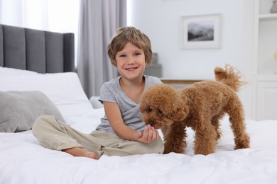 Little child and cute puppy on bed at home. Lovely pet