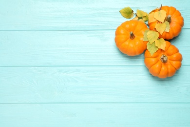 Photo of Ripe orange pumpkins and autumn leaves on light blue wooden table, flat lay. Space for text