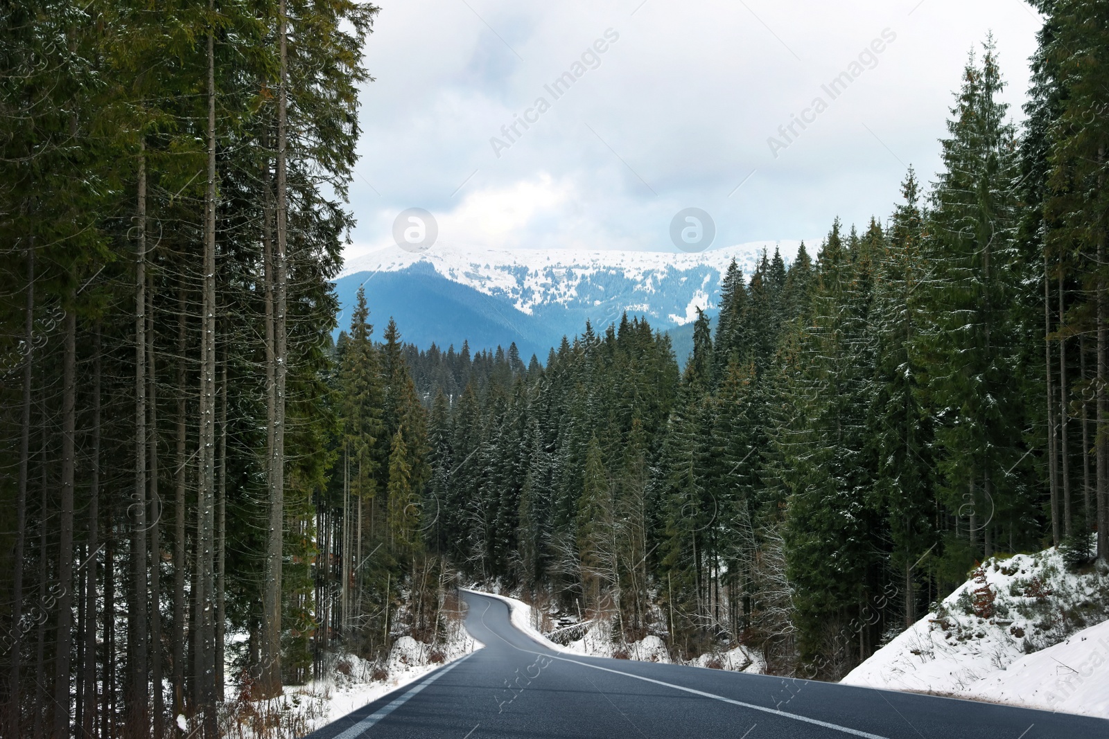 Image of Beautiful view of forest and empty asphalt road leading to mountains