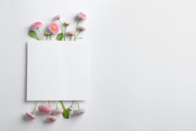 Photo of Flat lay composition with blooming daisies and space for text on white background. Spring flowers