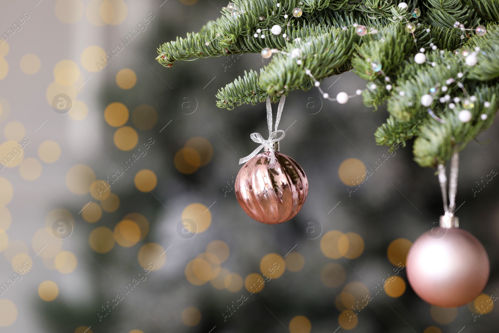 Photo of Pink Christmas balls hanging on fir tree against blurred background, space for text