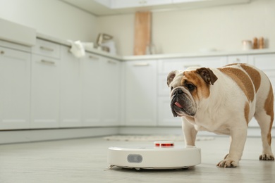 Photo of Robotic vacuum cleaner and adorable dog on floor in kitchen