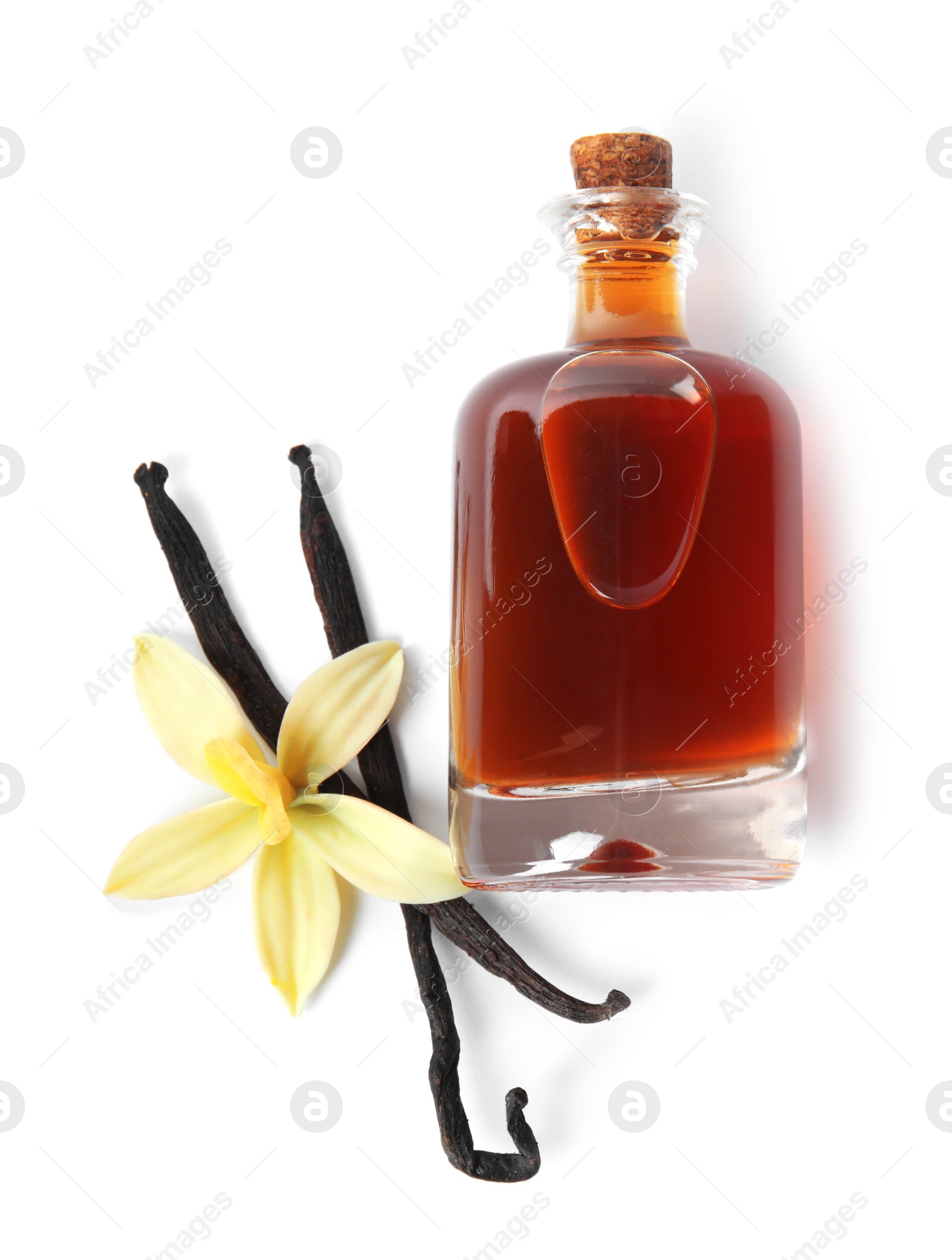 Photo of Vanilla extract, flower and dry pods isolated on white, top view