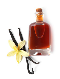 Photo of Vanilla extract, flower and dry pods isolated on white, top view