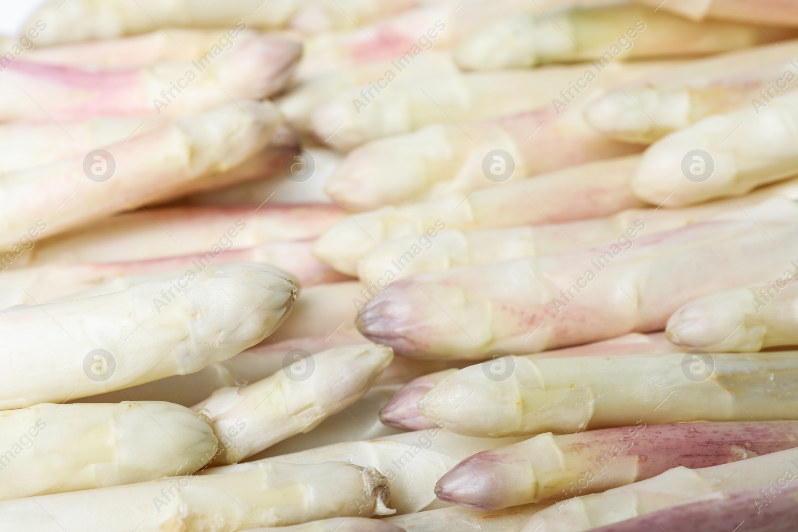 Photo of Fresh ripe white asparagus as background, closeup