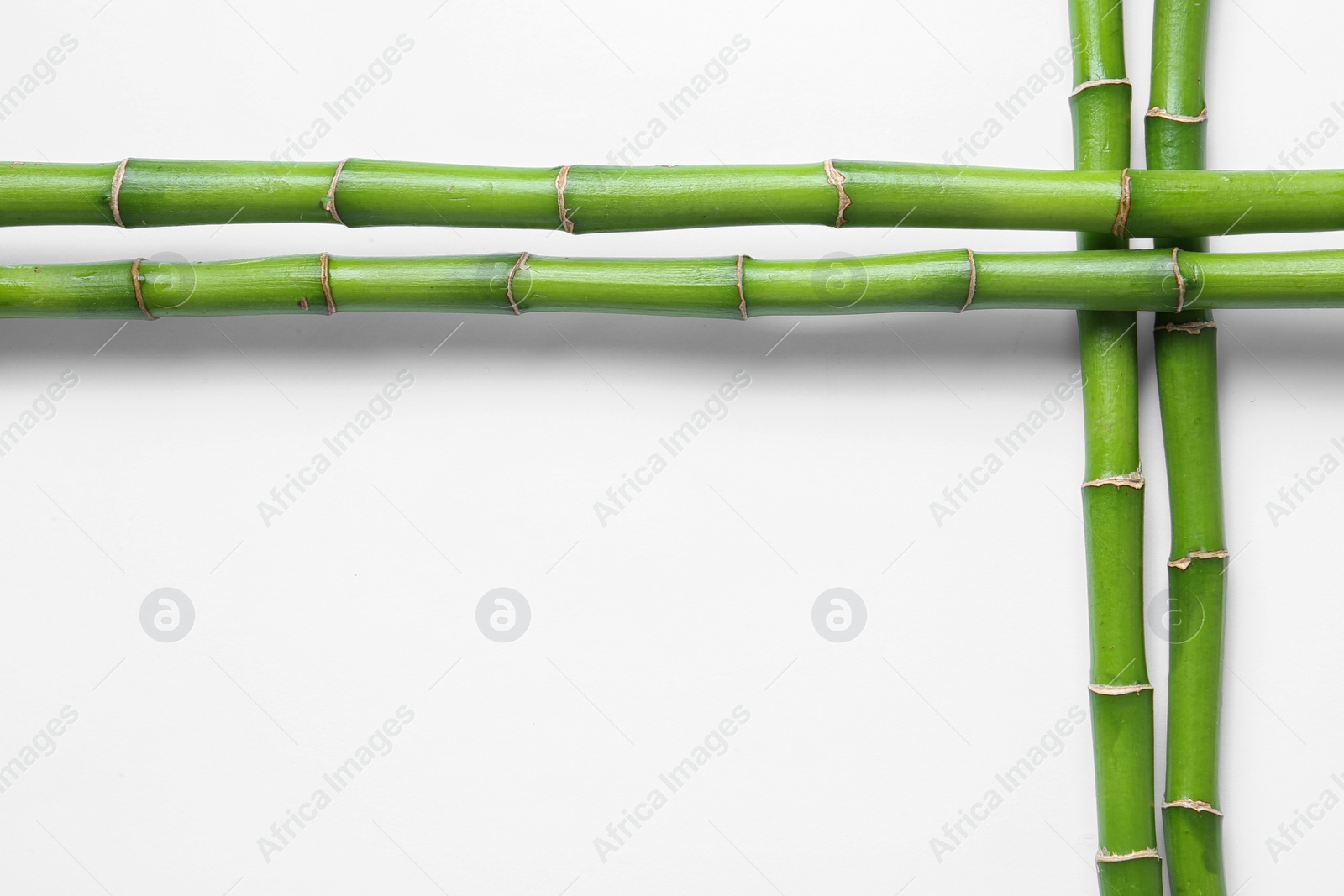 Photo of Green bamboo stems on white background, top view