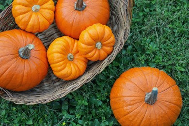 Photo of Wicker basket and whole ripe pumpkins on green grass outdoors, flat lay
