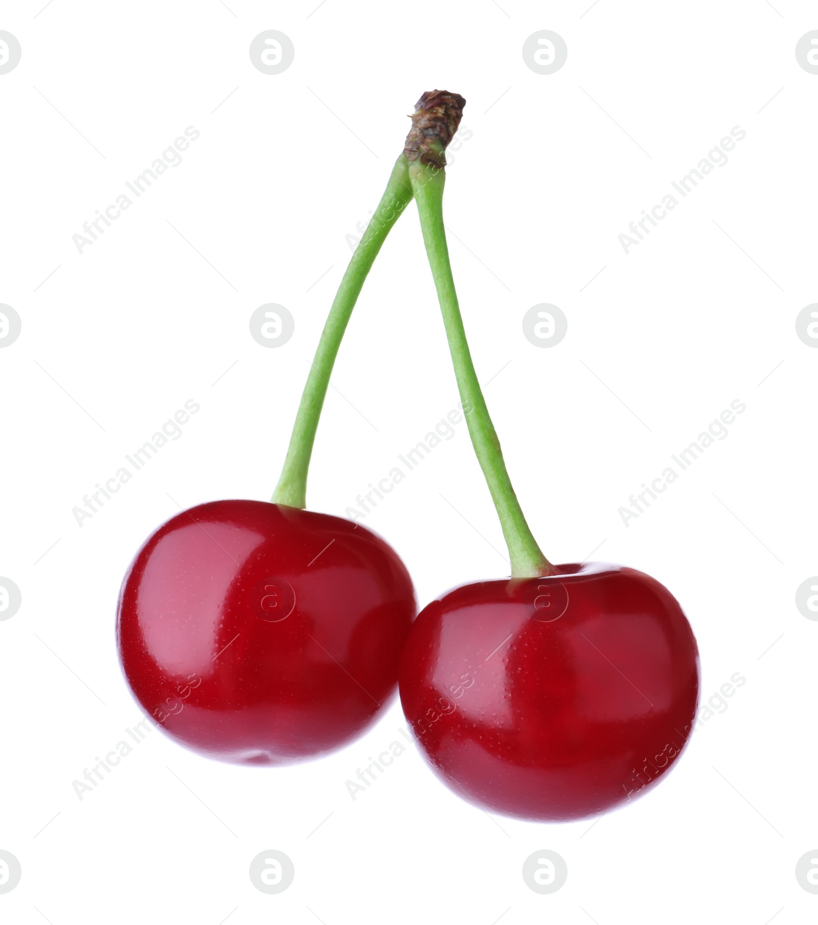 Photo of Delicious ripe sweet cherries isolated on white