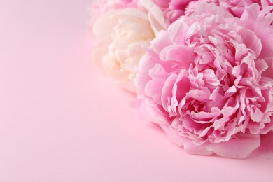 Photo of Beautiful peonies on pink background, closeup. Space for text