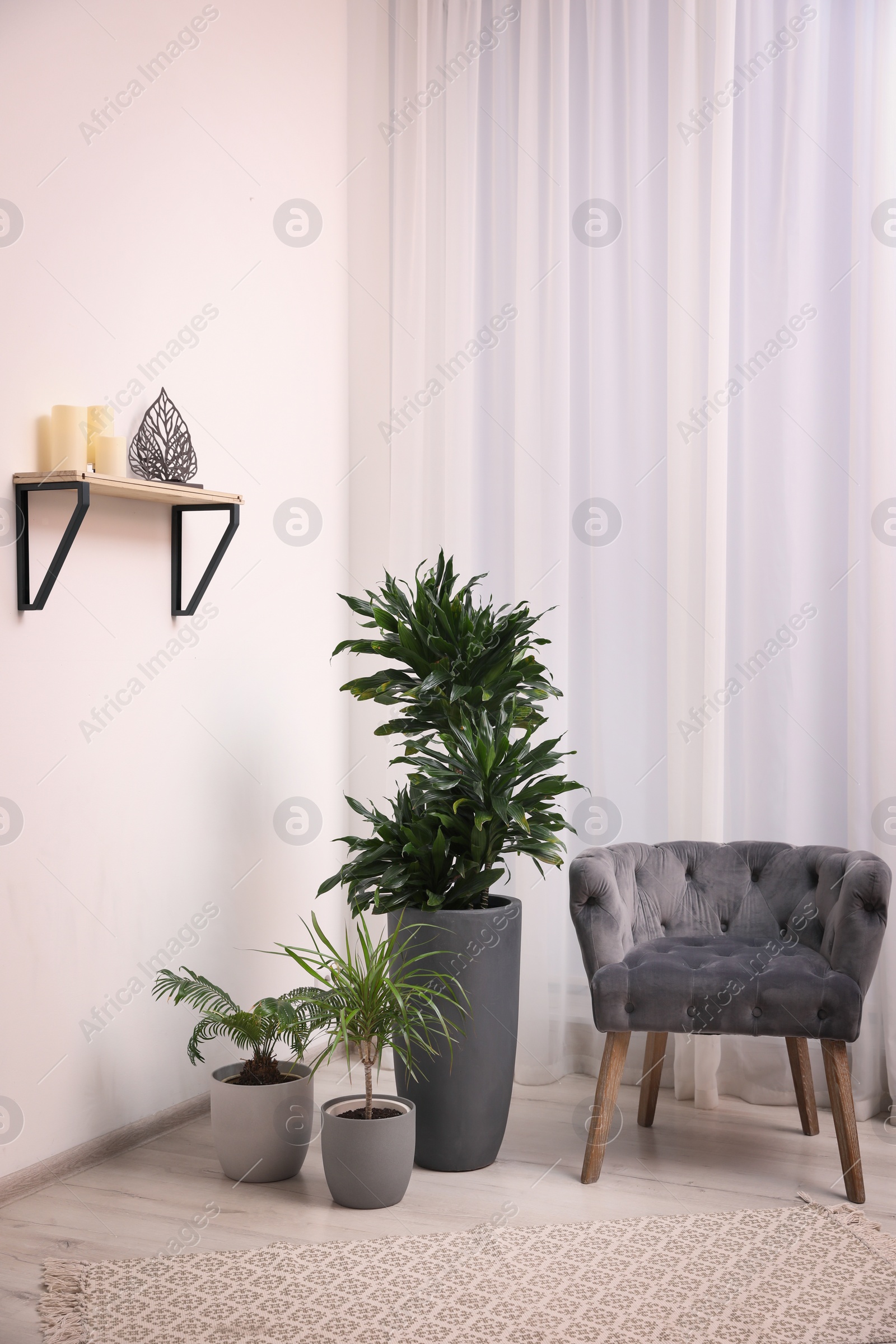 Photo of Stylish room interior with beautiful plants and comfortable armchair