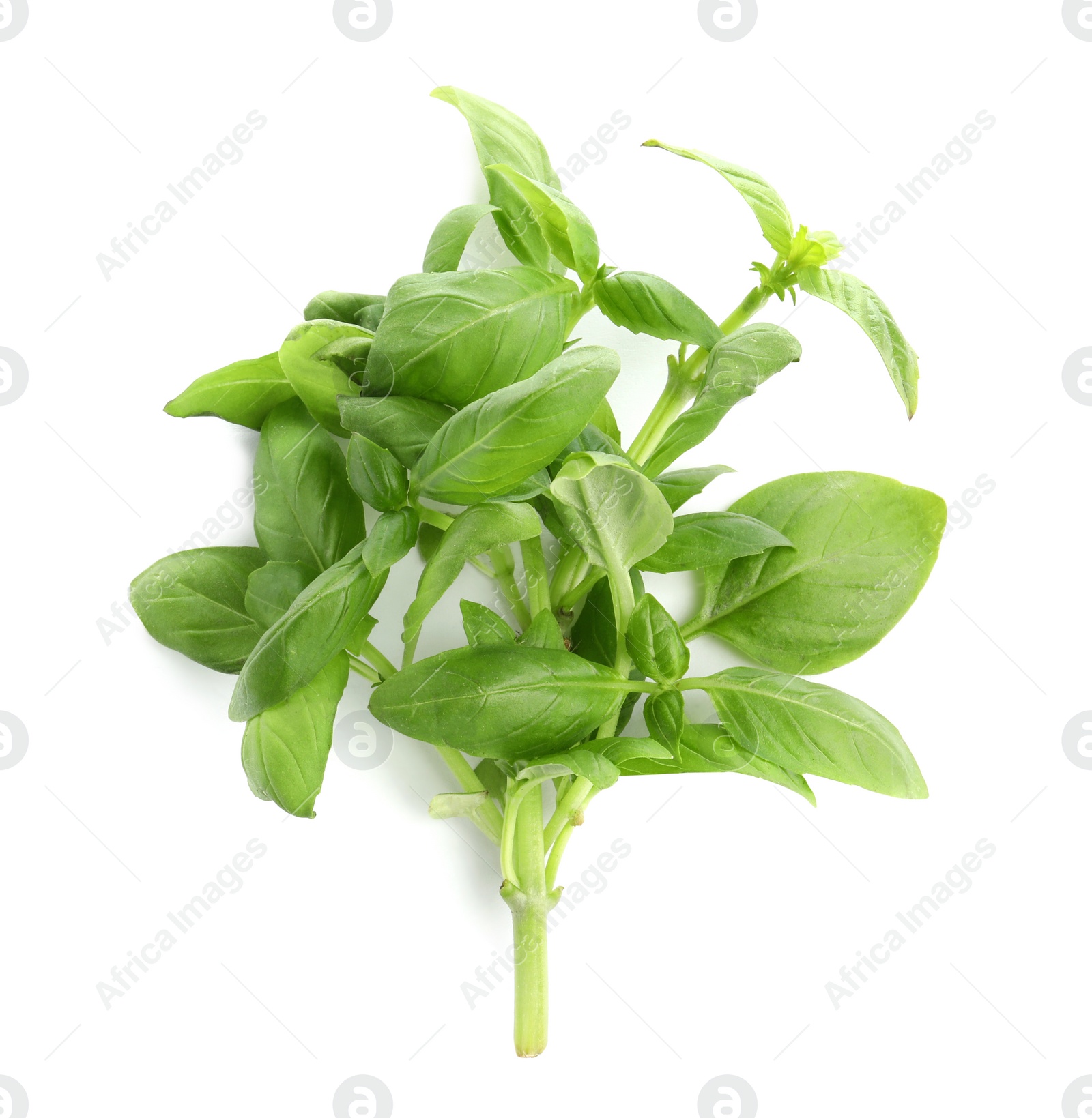 Photo of Aromatic fresh basil leaves on white background, top view