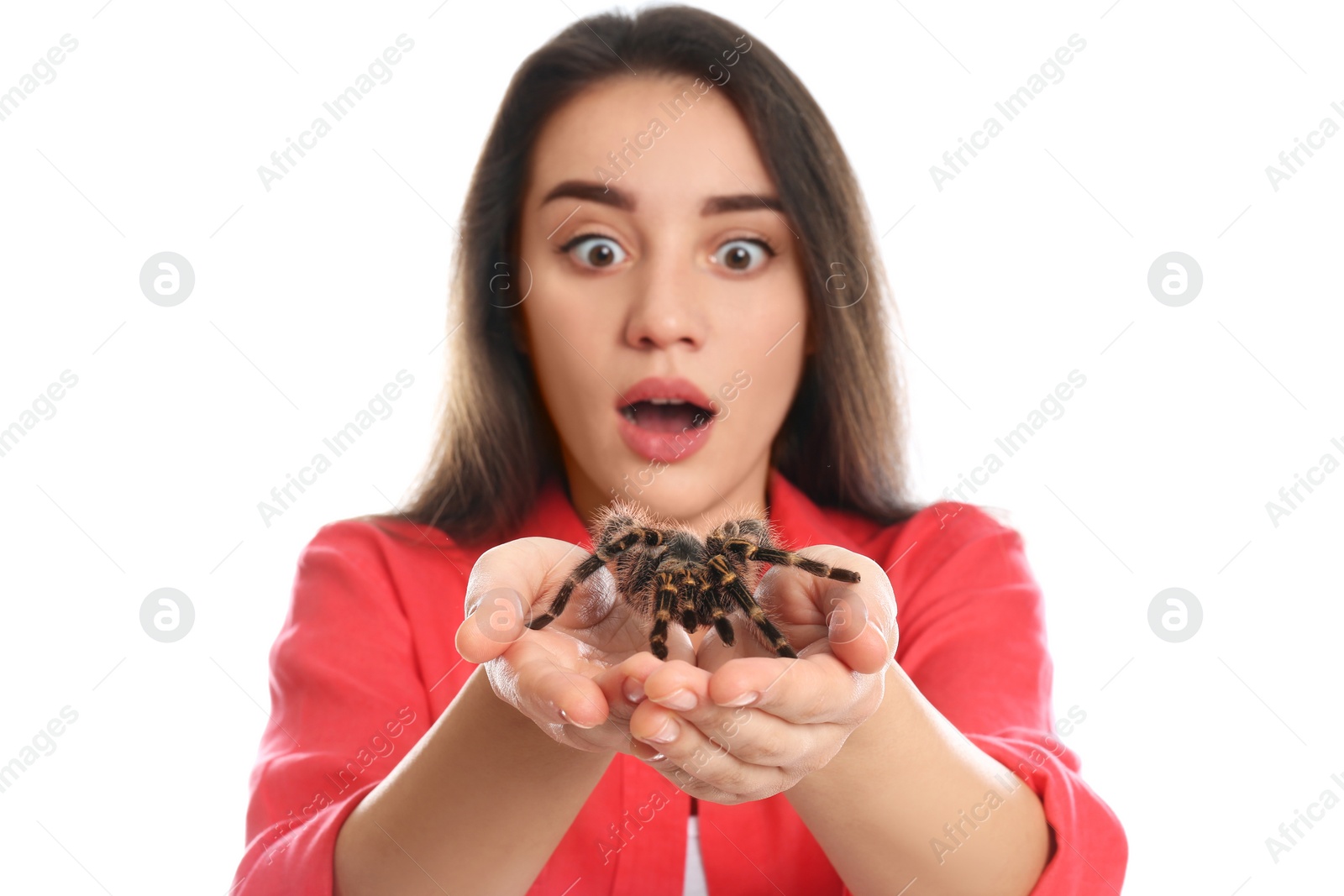 Photo of Scared young woman with tarantula on white background. Arachnophobia (fear of spiders)