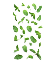 Photo of Fresh mint leaves on white background, flat lay