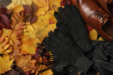 Photo of Stylish woolen gloves, scarf and male shoes on dry leaves, flat lay. Space for text