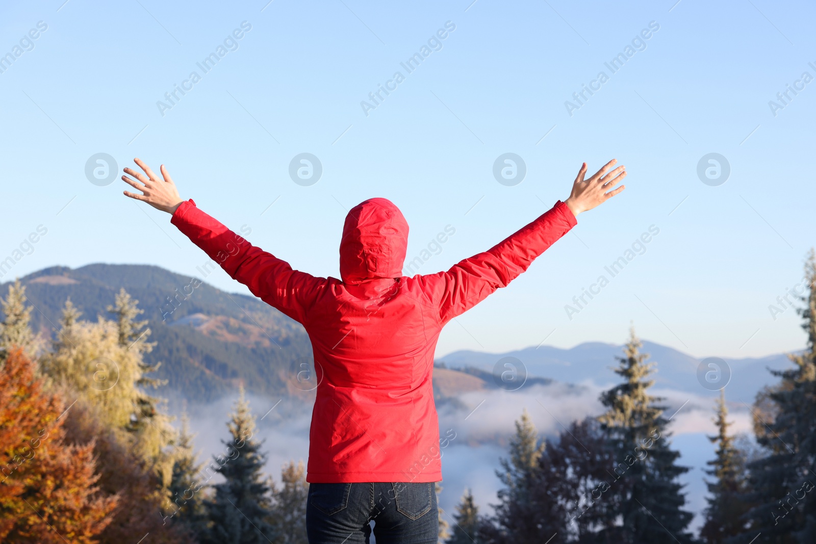 Photo of Woman admiring mountain landscape, back view. Freedom concept