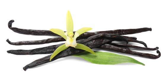Vanilla pods, beautiful flower and green leaf isolated on white