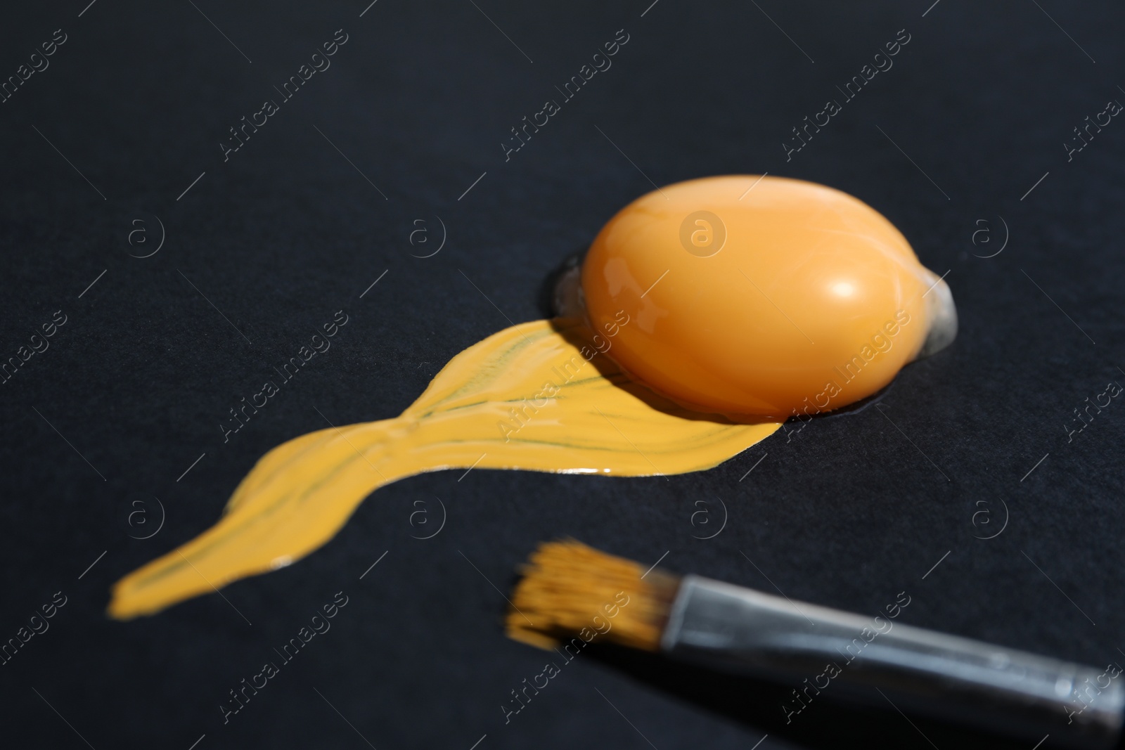 Photo of Paintbrush near raw yolk on black background, closeup